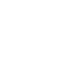 Professional
